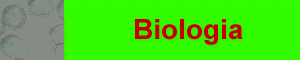 biogia.gif (3170 byte)
